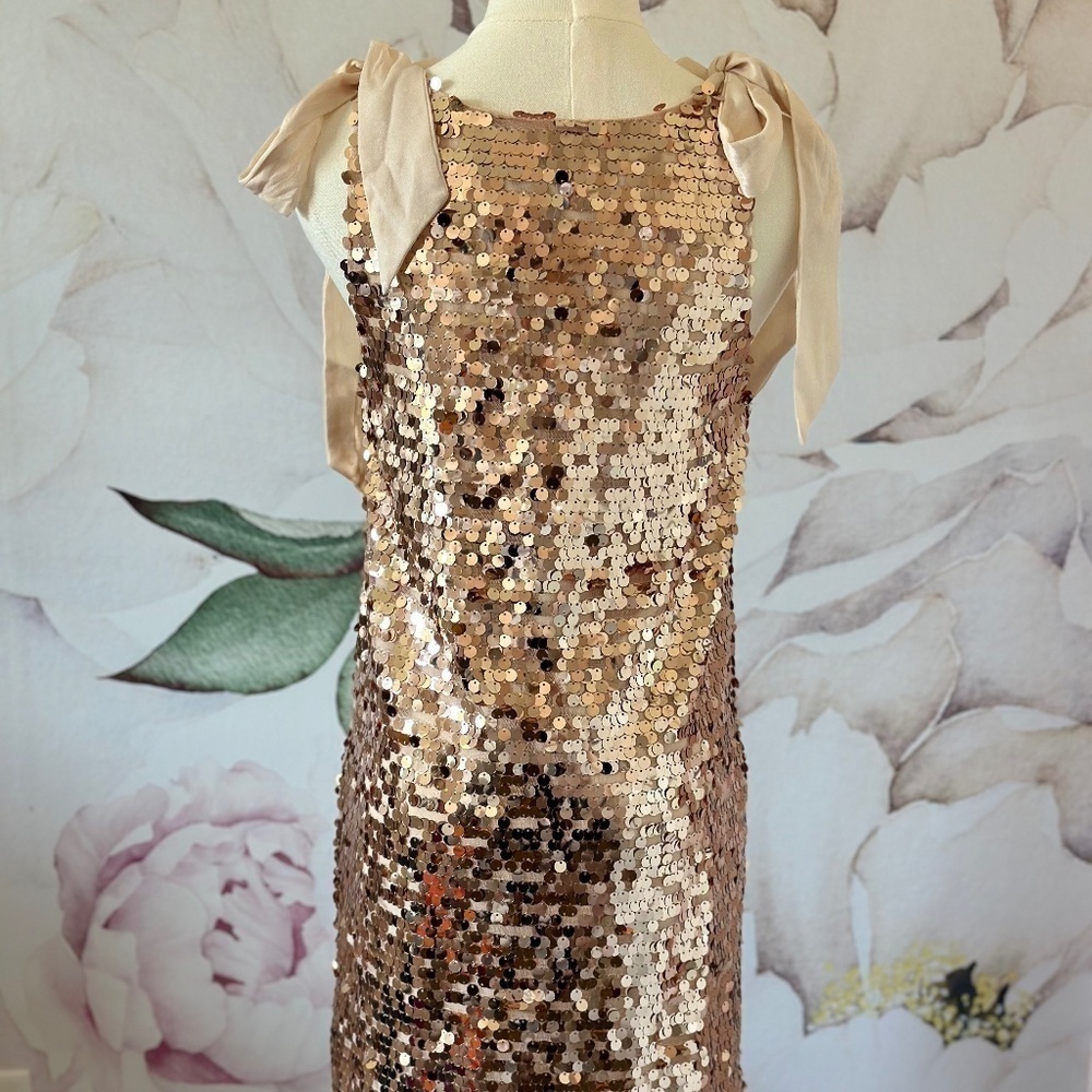 Red Dress Boutique Champagne Sequin Mini Women's Dress Size XS - Picture 9 of 15
